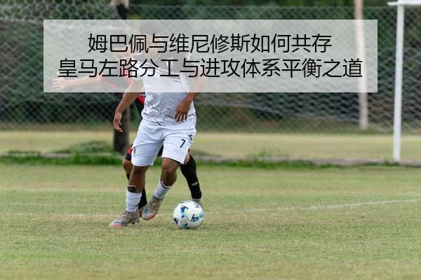 姆巴佩与维尼修斯如何共存 皇马左路分工与进攻体系平衡之道